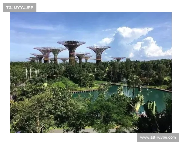 新加坡政府投资2.3亿改造水上运动中心 获得可持续发展认证 新加坡政府投资2.3亿改造水上运动中心 获得可持续发展认证